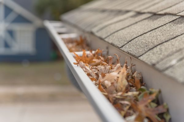 Leaf Barrier Installation in Castle Rock